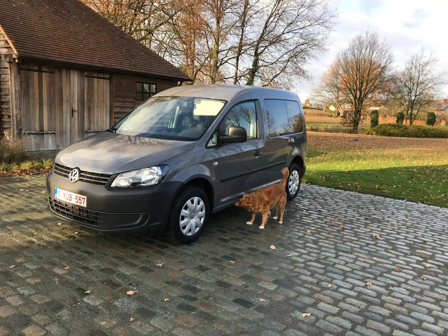 Volkswagen Caddy Caddy 1.2 Grijs - 1