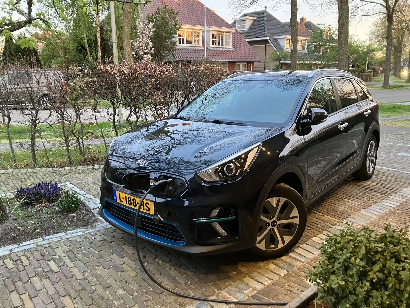 Kia Niro DynamicLine 39 kWh 2e eig Modrá - 1
