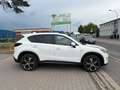 Mazda CX-5 2.2 D 175 Sports-Line AWD AT ZYLINDERKOPF White - thumbnail 4
