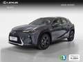 Lexus UX 300h 2.0 Grau - thumbnail 1