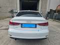 Audi A3 A3 Sedan 30 1.6 tdi Business 116cv s-tronic Bianco - thumbnail 6
