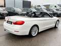 BMW 430 d Cabrio Aut. Luxury Line HeadUp_Navi_Xen_Led Weiß - thumbnail 5