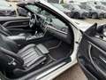 BMW 430 d Cabrio Aut. Luxury Line HeadUp_Navi_Xen_Led Weiß - thumbnail 15