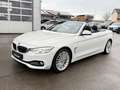 BMW 430 d Cabrio Aut. Luxury Line HeadUp_Navi_Xen_Led Weiß - thumbnail 1