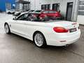 BMW 430 d Cabrio Aut. Luxury Line HeadUp_Navi_Xen_Led Weiß - thumbnail 7