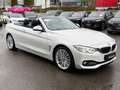 BMW 430 d Cabrio Aut. Luxury Line HeadUp_Navi_Xen_Led Weiß - thumbnail 3
