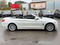 BMW 430 d Cabrio Aut. Luxury Line HeadUp_Navi_Xen_Led Weiß - thumbnail 4