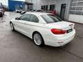 BMW 430 d Cabrio Aut. Luxury Line HeadUp_Navi_Xen_Led Weiß - thumbnail 10