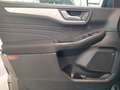Ford Kuga 2.5 PHEV  Cool & Connect Navi PDC Lenkradheizung Gris - thumbnail 13