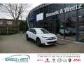 Citroen C4 Max HYBRID 136 e-DCS6 MAX Navi Digitales Cockpit L Weiß - thumbnail 1