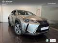 Lexus UX 300e Business Argintiu - thumbnail 12