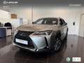 Lexus UX 300e Business Argintiu - thumbnail 1