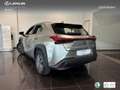 Lexus UX 300e Business Argintiu - thumbnail 14