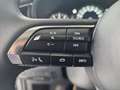 Mazda CX-30 e-Skyactive G140 Homura Aut. Grau - thumbnail 19