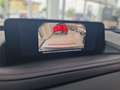 Mazda CX-30 e-Skyactive G140 Homura Aut. Grau - thumbnail 5