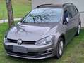 Volkswagen Golf Variant Golf Variant 1.6 TDI Cup Gris - thumbnail 3
