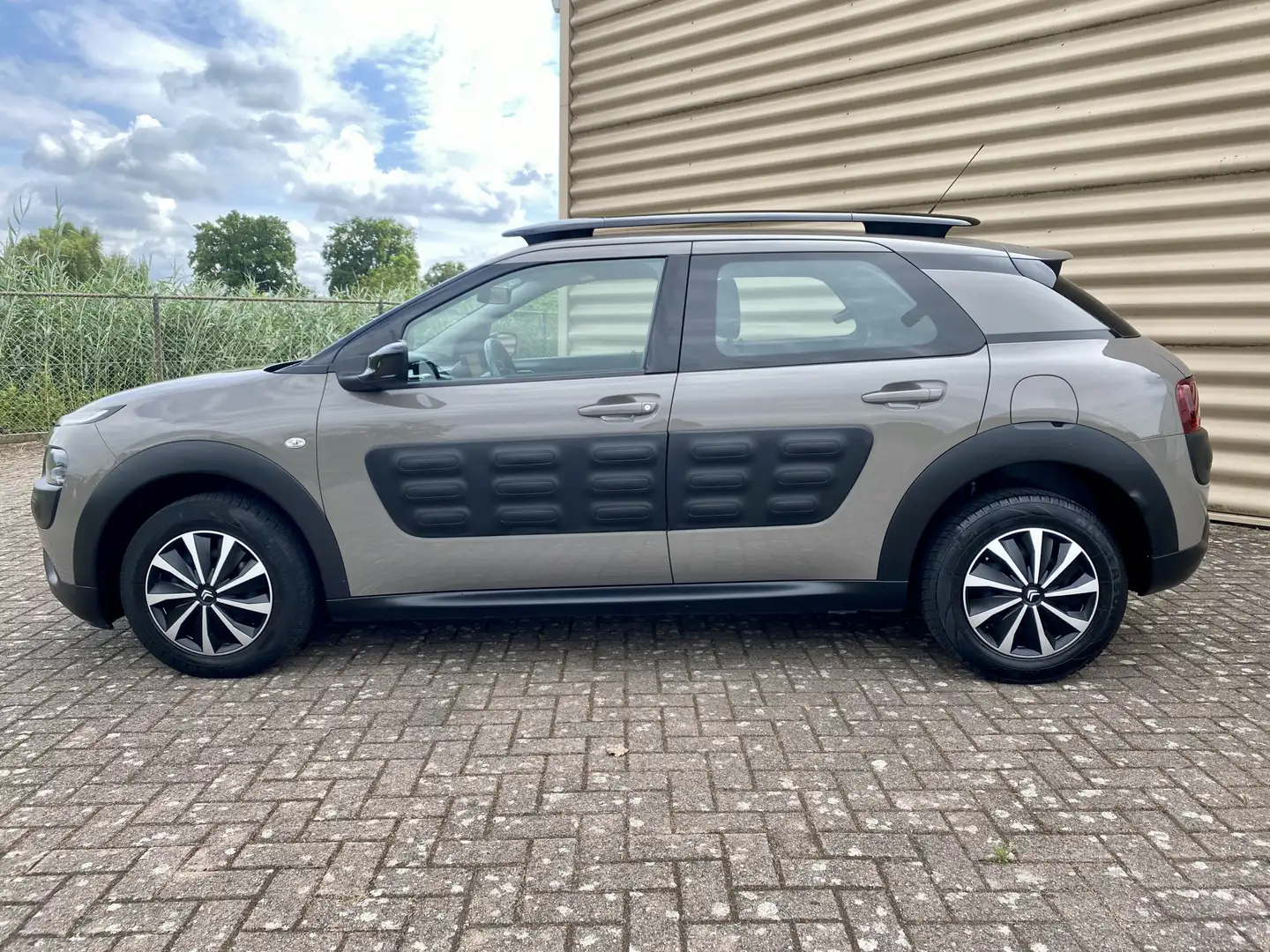 Citroen C4 Cactus 1.2 PureTech Shine [ Fm navi,camera,ecc,cruise,pdc Bruin - 2