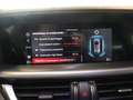 Alfa Romeo Stelvio 2.0 Turbo 280 CV AT8 Q4 Veloce Bleu - thumbnail 22