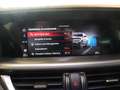 Alfa Romeo Stelvio 2.0 Turbo 280 CV AT8 Q4 Veloce Bleu - thumbnail 19