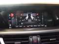 Alfa Romeo Stelvio 2.0 Turbo 280 CV AT8 Q4 Veloce Bleu - thumbnail 18