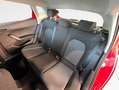 SEAT Ibiza 1.0 MPI S&S Reference 80 Rojo - thumbnail 14