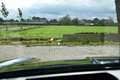 Porsche Cayenne S Coupe E-Hybrid, SprtDsgn/HUD/HDMtrx/Passdis/FULL Blauw - thumbnail 13