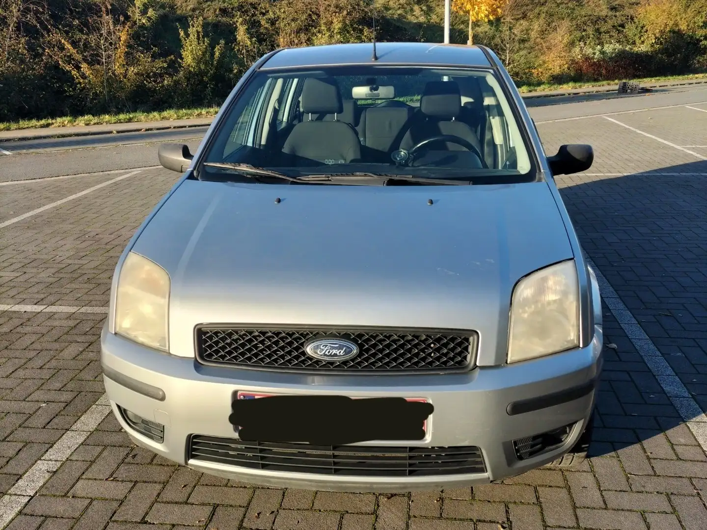 Ford Fusion 1.4 TDCI + Zilver - 1