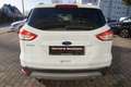 Ford Kuga 2.0 TDCi 4x4 Aut. Titanium Weiß - thumbnail 5