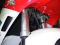 Yamaha TZR 250 3XV Rojo - thumbnail 11