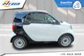 smart city-coupé/city-cabrio smart fortwo Weiß - thumbnail 7