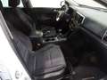 Kia Sportage 1.6 MHEV   85kW (115CV) 4x2 Drive Blanc - thumbnail 8