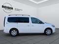 Volkswagen Caddy Maxi TDI 4MOTION Weiß - thumbnail 4