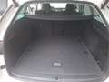 Skoda Octavia Combi 2,0 TDI Style DSG Head-Up DAB LED Weiß - thumbnail 12