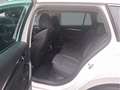 Skoda Octavia Combi 2,0 TDI Style DSG Head-Up DAB LED Weiß - thumbnail 9
