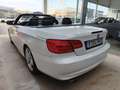 BMW 320 320d Cabrio Blanco - thumbnail 4