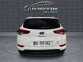 Hyundai TUCSON II 2.0 CRDI 185 Executive 4WD BVA6 Blanc - thumbnail 5