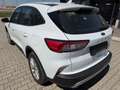 Ford Kuga 1,5 EcoBlue Cool & Connect Aut. Weiß - thumbnail 3