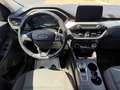 Ford Kuga 1,5 EcoBlue Cool & Connect Aut. Weiß - thumbnail 11