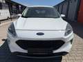 Ford Kuga 1,5 EcoBlue Cool & Connect Aut. Weiß - thumbnail 2
