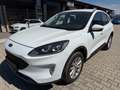 Ford Kuga 1,5 EcoBlue Cool & Connect Aut. Weiß - thumbnail 1