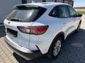 Ford Kuga 1,5 EcoBlue Cool & Connect Aut. Weiß - thumbnail 5