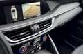 Alfa Romeo Stelvio 2.9 Bi-Turbo V6 520 CV AT8 Q4 Quadrifoglio Rouge - thumbnail 12