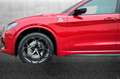 Alfa Romeo Stelvio 2.9 Bi-Turbo V6 520 CV AT8 Q4 Quadrifoglio Rouge - thumbnail 17