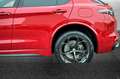 Alfa Romeo Stelvio 2.9 Bi-Turbo V6 520 CV AT8 Q4 Quadrifoglio Rouge - thumbnail 18