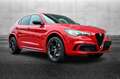 Alfa Romeo Stelvio 2.9 Bi-Turbo V6 520 CV AT8 Q4 Quadrifoglio Rouge - thumbnail 2