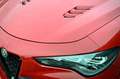 Alfa Romeo Stelvio 2.9 Bi-Turbo V6 520 CV AT8 Q4 Quadrifoglio Rouge - thumbnail 14