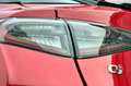 Alfa Romeo Stelvio 2.9 Bi-Turbo V6 520 CV AT8 Q4 Quadrifoglio Rouge - thumbnail 16