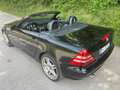 Mercedes-Benz SLK 320 SLK 320 V6 MANUALE ISCRITTA ASI Schwarz - thumbnail 13