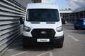 Ford Transit 350 L2 Trend *Leasingbonus* Weiß - thumbnail 3