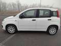 Fiat Panda 1.3 MJT 80 CV S&S Easy Bianco - thumbnail 2